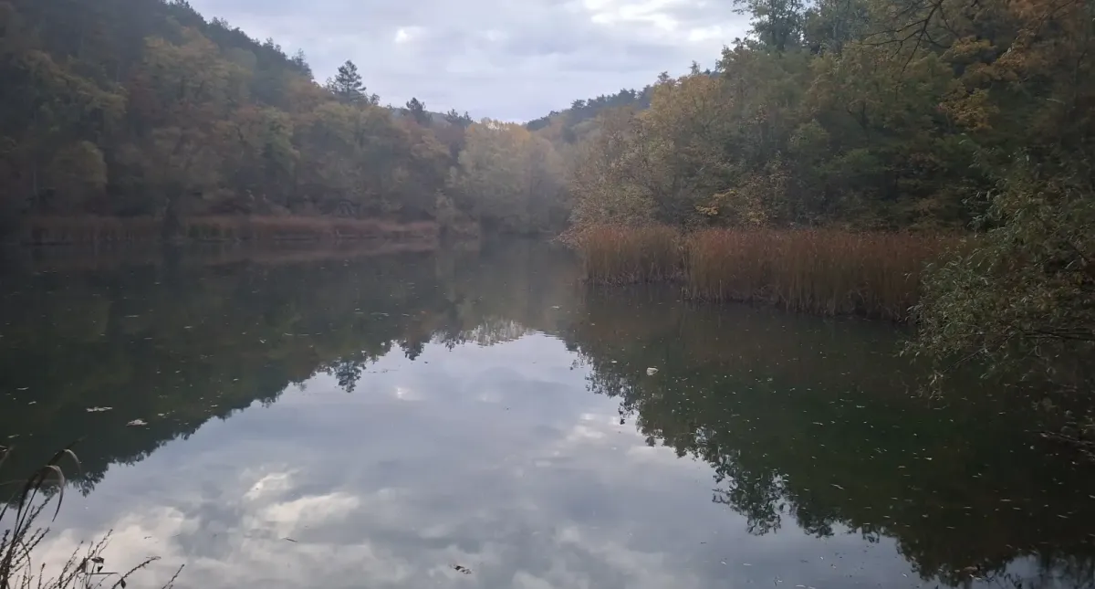 Куйбышево, База ЛГИ